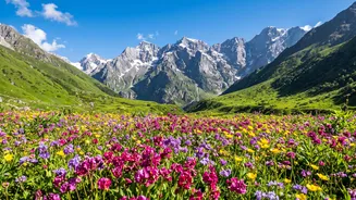With 1.5 Billion Global Arrivals In The Background Shapes World Economic Forum Names The Top 10 Countries For Travel And Tourism In 2026