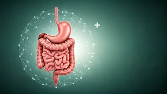 Prioritizing Health: Addressing Key Wellness Concerns from Rectal Cancer to Sleep Apnea