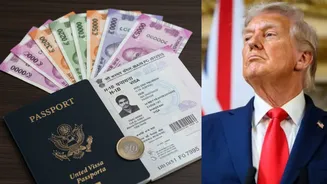 'Not Much Talent in US': Trump Softens Stance on H-1B Visa Reform