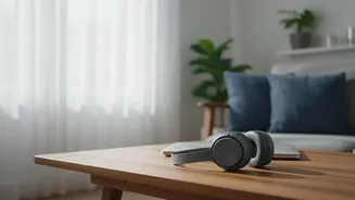 Check Calls And Music And Guests Together When Planning Quiet Hours In Shared Flats