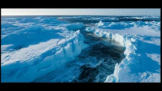 Sea Ice Decline Has Entered The Chat