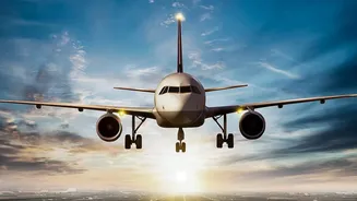 International Flights And Disruptions: How To Avoid Relying On Unverified Claims