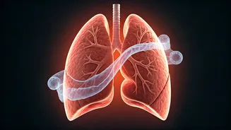 Obesity's Hidden Danger: A 1 in 10 Link to Infection Deaths Revealed