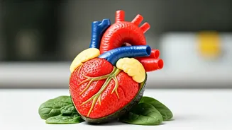 Artery Plaque Prevention: 5 Foods to Keep Your Heart Healthy