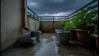 Buckets And Balconies Need A Rainy Audit