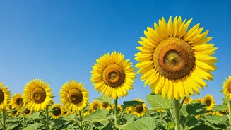 Boosting Your Spirit: Start Today!