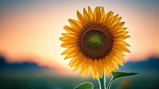Unlock Your Potential: Crafting Powerful 5 AM Affirmations That Truly Stick