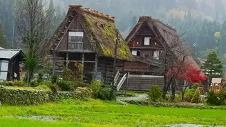 Assam's Rainy Landscapes Reward Travellers Looking For Quiet Escapes