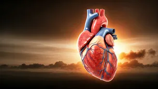 Navigating Heart Health Amidst Delhi's Air Quality