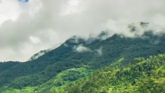 Rain Brings Fresh Life To Assam's Scenic Travel Experiences