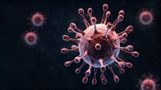 Understanding BA.3.2: The New COVID Variant Spreading Fast and What It Means for You