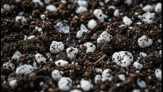 How Pre-Monsoon Soil Conditioning With Perlite Saves Delicate Balcony Pots From Fatal Root Rot