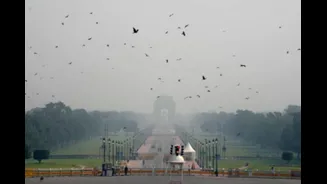 Delhi Air Plunges To Severe Post-Diwali