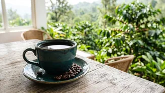 Specialty Indian coffee beans exploring single-origin Arabica roasts from Chikmagalur Araku Valley and Coorg
