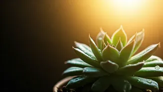 Related Stories banner