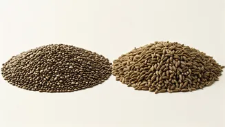 Chia vs. Sabja Seeds: Unlocking Their Unique Roles in Belly Fat Management