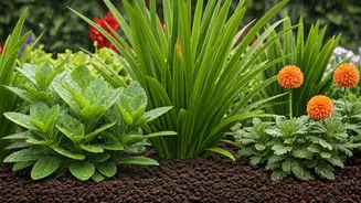 Rainy Gardens Need Less Fuss, More Basics