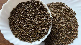 Cassia seeds: The superfood you probably didn't know about
