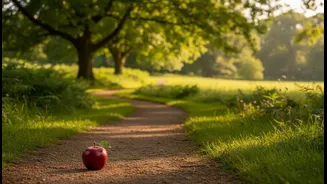 A 10-Minute Walk After Meals May Offer More Than A Longer Workout Later