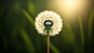 Unpacking "Fine": Navigating Expectations and Embracing Authenticity