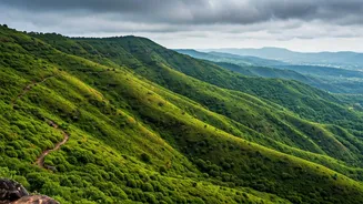 Mahabaleshwar Landscapes Are Perfect For Adventurous Indian Weekend Trekkers
