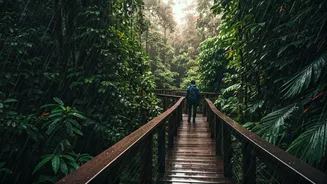 Canopy Walks Are Monsoon's Hidden Adventure