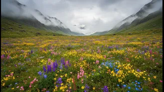 Why the short seasonal availability window makes Valley of Flowers the top monsoon mountain target