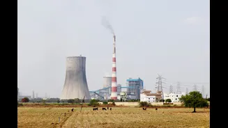 India Faces Regional and Seasonal Warming Trends, IMD Data Reveals