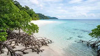 India's New UNESCO Tentative List Entries: The Two Andaman Entries And One Chhattisgarh Site