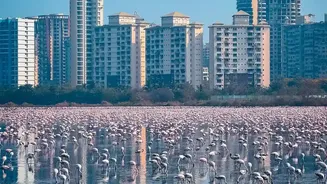 Urban Wildlife Shifts: Why Seasonal Changes Make Birds And Butterflies More Visible In Cities