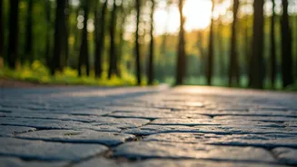 Navigating Difficult People: Strategies for Calm & Effective Interactions