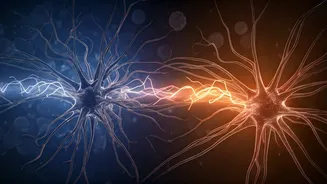 Tune In: 5 Crucial Signals Your Body Sends Before Illness Strikes