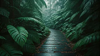 Andaman Monsoon Trips Are The Anti-Crowd Escape