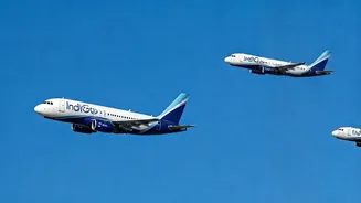 IndiGo's Rise: India's Aviation Dominance