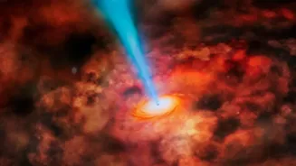 Checking Active Black Holes Can Improve Little Red Dot Research after Webb's Little Red Dot Study