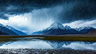 Unseasonal Weather: North India's Wet January