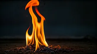 Fiery Speech: Indian Student's Slam at Oxford