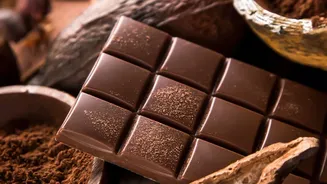 South Indian Craft Chocolatiers Transform Regional Cocoa Beans Into Global-Quality Gift Boxes