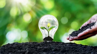 Batteries central to Waaree Energy plans; 20 GW manufacturing plant coming up: Abhishek Pareek