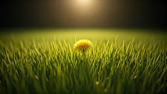 Related Stories banner