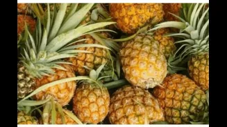 PM Modi Gifts Meghalaya's GI-Tagged Pineapples To UAE President