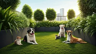 Pet Owners Flood Rooftop Gardens As Urban Agriculture Trends Nationwide