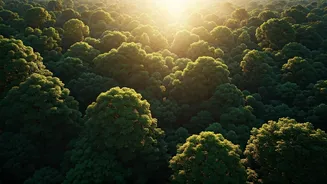 Madhya Pradesh: India's Verdant Heartland Boasting the Largest Forest Cover
