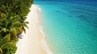 Phu Quoc: The Unfolding Vietnamese Paradise Captivating Indian Travelers