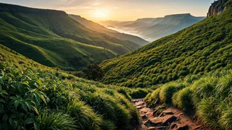 Misty Mountain Trails Western Ghats Top Travel Recommendations For Youth