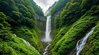 Skip The Crowds, Chase India's Hidden Rain Gems