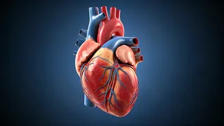 Heart Health Hurdles: Exercise Isn't Always Enough!