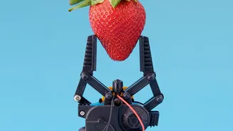How Autonomous Farming Robots Manage Weeds Efficiently In Organic Fields