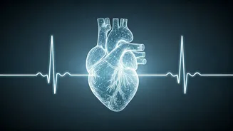 Ideal Blood Pressure for Seniors: Harvard Experts Reveal Optimal Readings