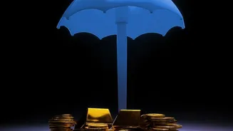 Young Investors Can Shift Sovereign Gold Bond Maturity Proceeds Into Multi-Asset Investment Pools